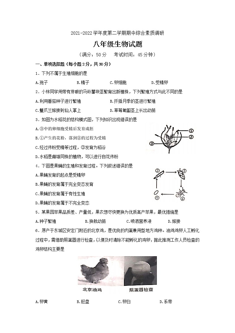 安徽省安庆市2021-2022学年八年级下学期期中综合素质调研生物试题（含答案）01