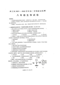 河南省洛阳市西工区2021-2022学年八年级下学期期中生物质量检测试题（有答案）