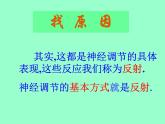 北京版七下生物  8.2 神经调节的基本方式  课件