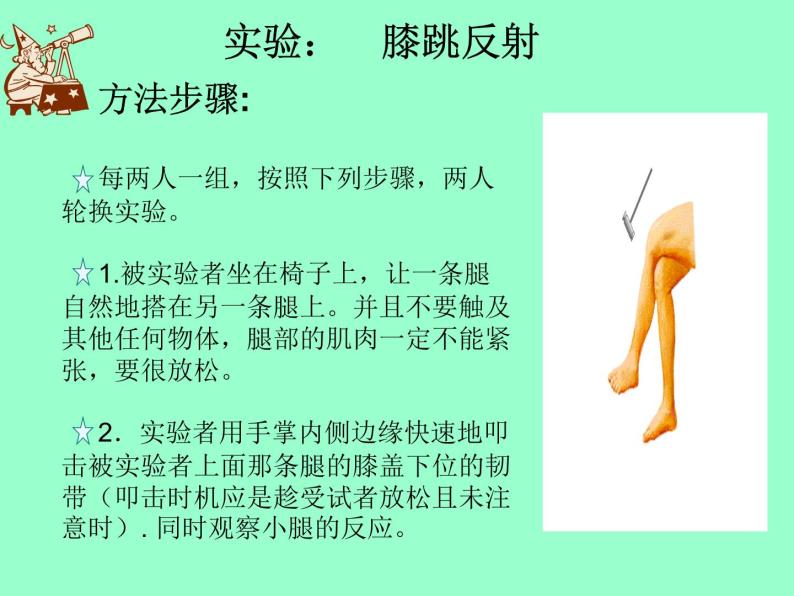 北京版七下生物  8.2 神经调节的基本方式  课件05