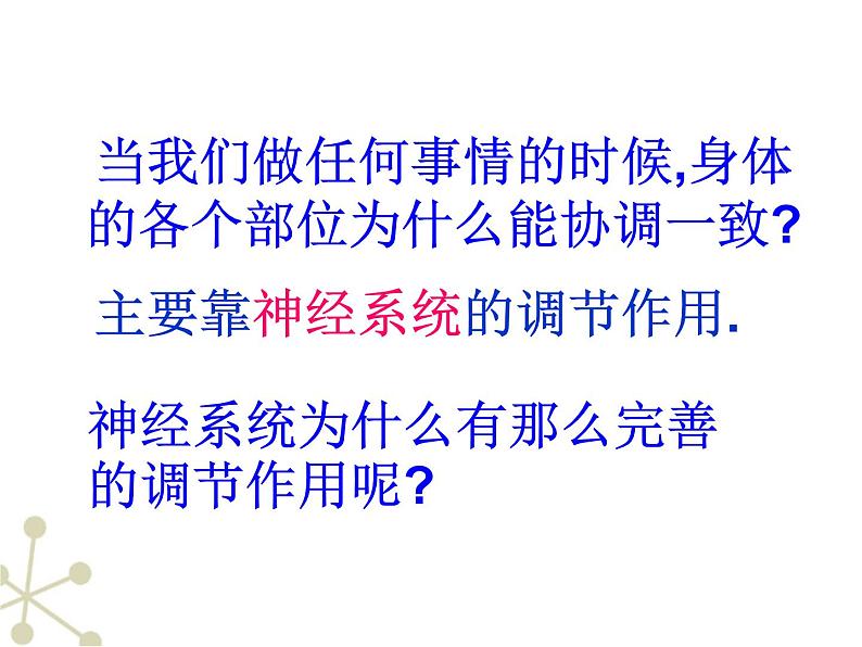 北京版七下生物  8.1 神经系统的组成  课件第3页