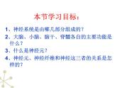 北京版七下生物  8.1 神经系统的组成  课件