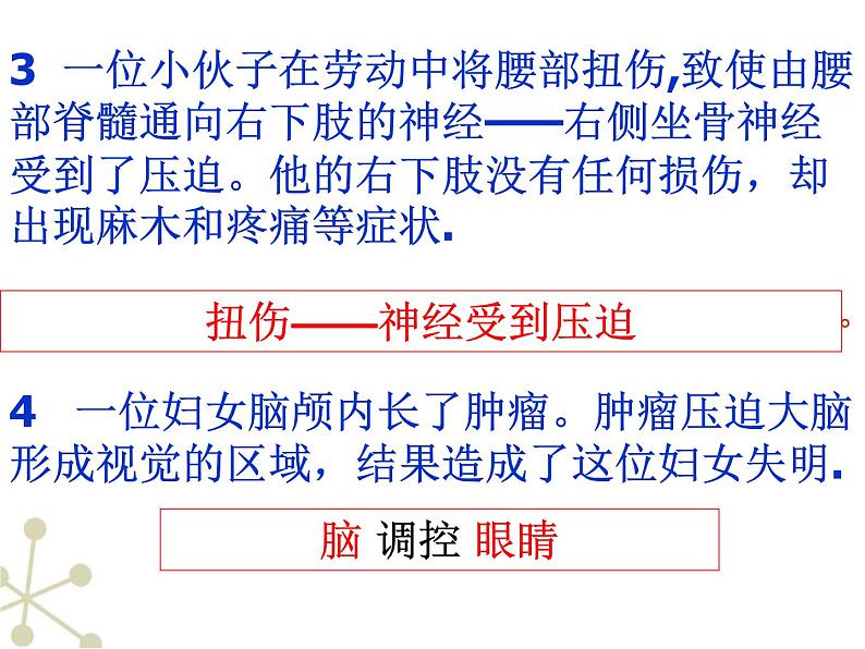 北京版七下生物  8.1 神经系统的组成  课件第8页