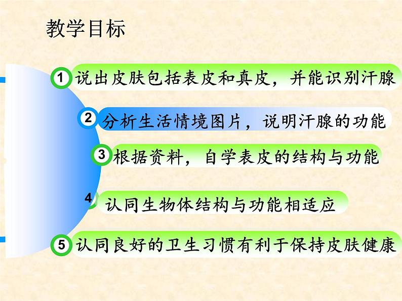 北京版七下生物  7.3 汗液的排出  课件第1页