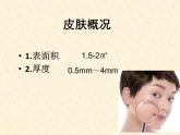 北京版七下生物  7.3 汗液的排出  课件