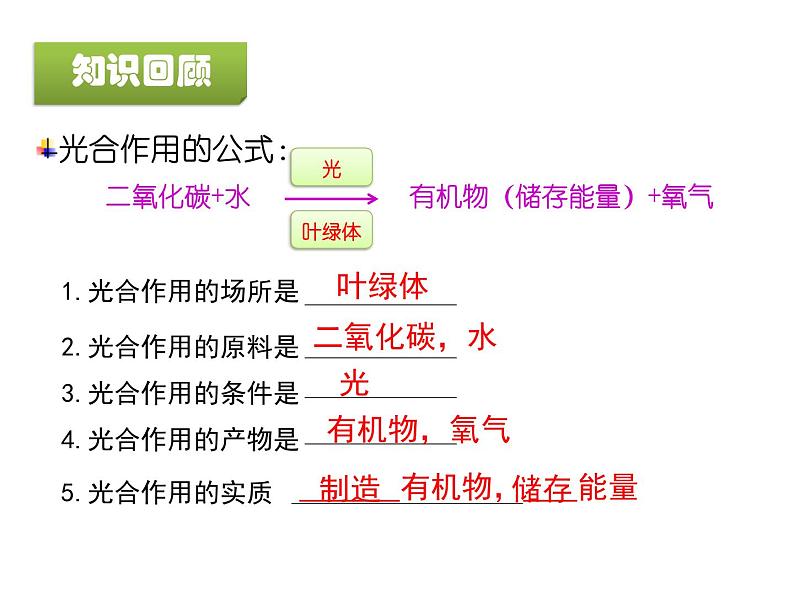 北京版七下生物  6.2 绿色植物的呼吸  课件01