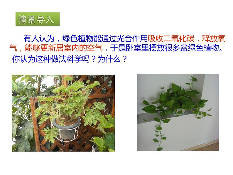 北京版七下生物  6.2 绿色植物的呼吸  课件03