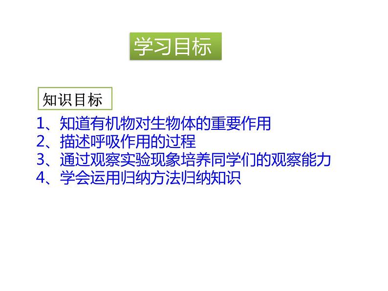 北京版七下生物  6.2 绿色植物的呼吸  课件04