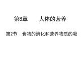 北师大版七下生物 8.2食物的消化和营养物质的吸收 课件