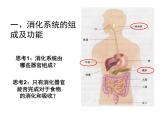 北师大版七下生物 8.2食物的消化和营养物质的吸收 课件
