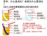 北师大版七下生物 8.2食物的消化和营养物质的吸收 课件