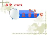 北师大版七下生物 9.2血液循环 课件