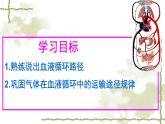 北师大版七下生物 9.2血液循环 课件