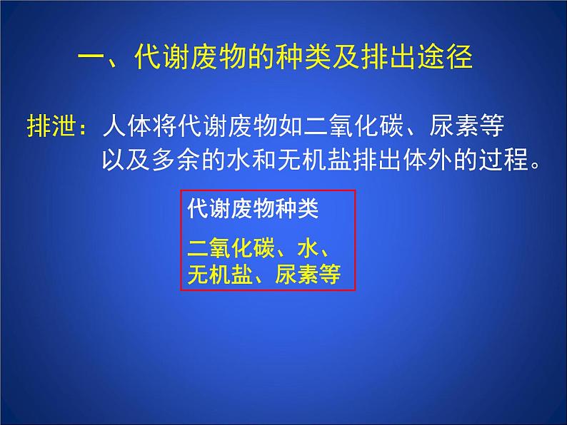 北师大版七下生物 11.1人体产生的代谢废物 课件第7页