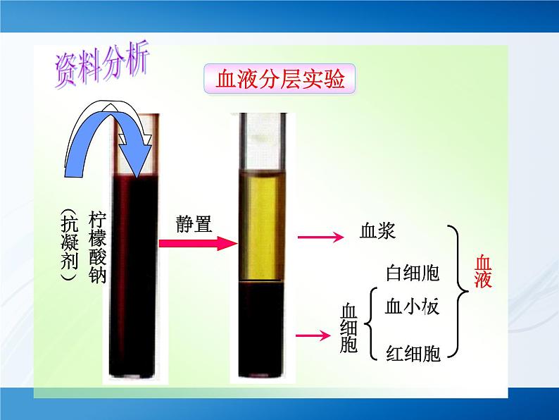 北师大版七下生物 9.1血液 课件03