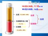 北师大版七下生物 9.1血液 课件