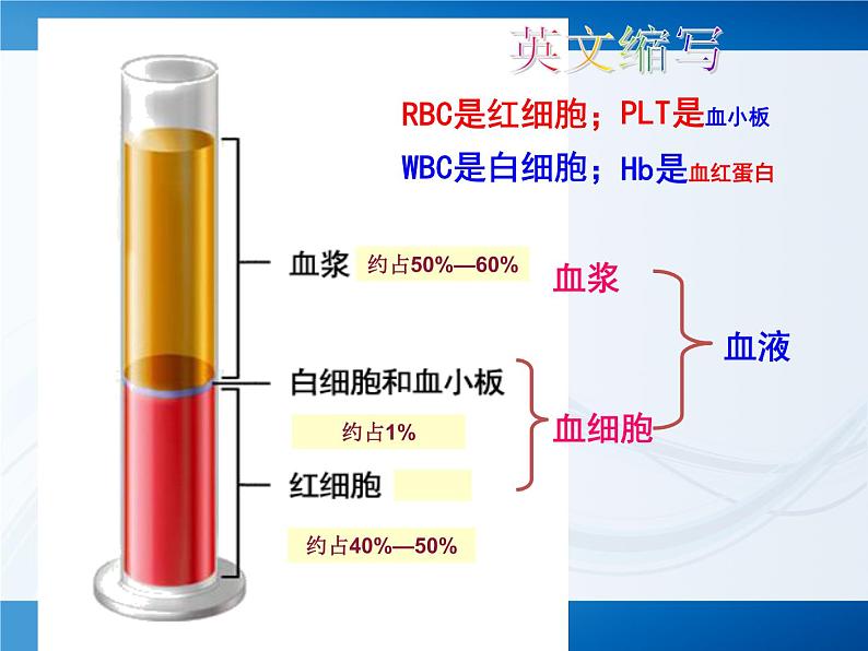 北师大版七下生物 9.1血液 课件05