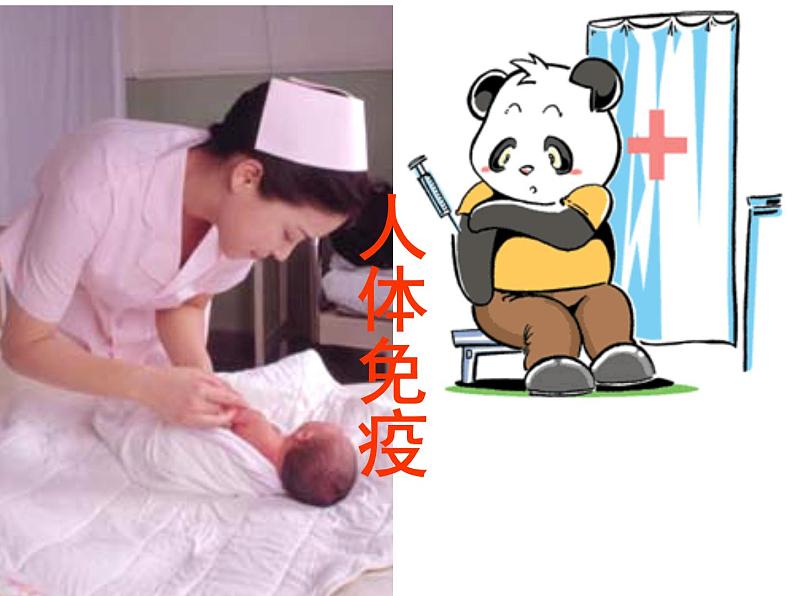北师大版七下生物 13.3人体免疫 课件01