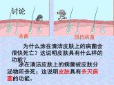 北师大版七下生物 13.3人体免疫 课件