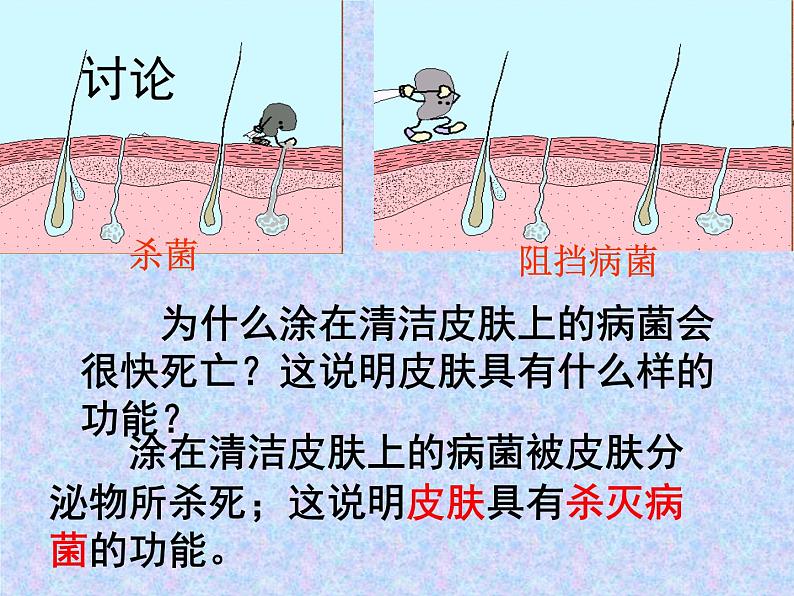 北师大版七下生物 13.3人体免疫 课件04