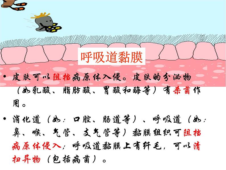 北师大版七下生物 13.3人体免疫 课件05