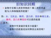 北师大版七下生物 10.1食物中能量的释放 课件