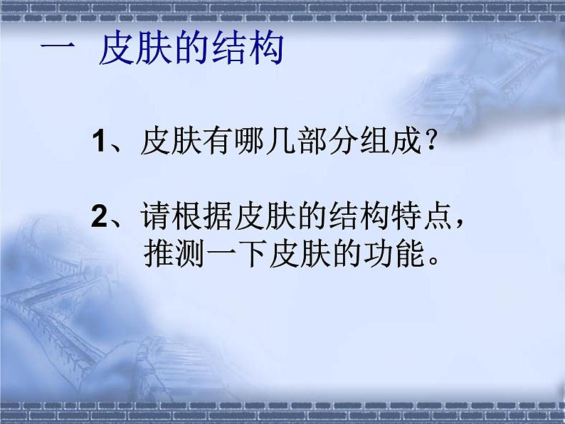 北师大版七下生物 11.3皮肤与汗液分泌 课件02