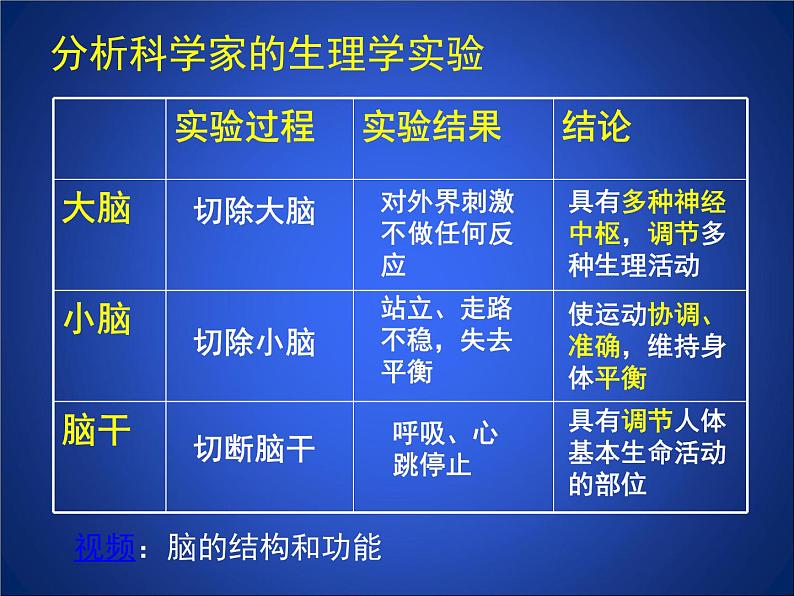 北师大版七下生物 12.1神经系统与神经调节 课件第8页