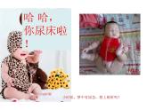 北师大版七下生物 11.2尿的形成与排出 课件
