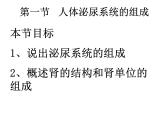 北师大版七下生物 11.2尿的形成与排出 课件