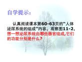 北师大版七下生物 11.2尿的形成与排出 课件
