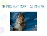 北师大版八下生物 21.1生命的起源 课件