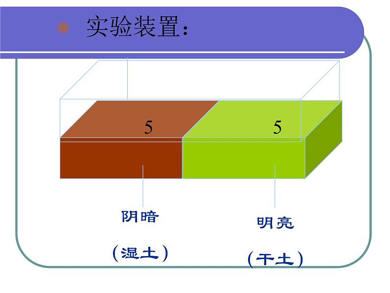 北师大版八下生物 21.1生命的起源 课件第8页