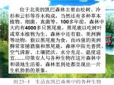 北师大版八下生物 23.2生态系统概述 课件