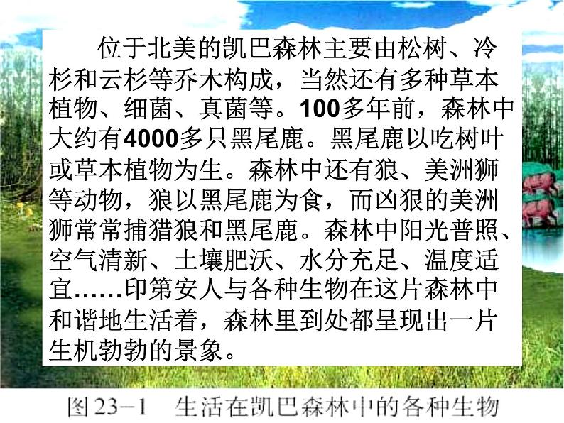 北师大版八下生物 23.2生态系统概述 课件第3页