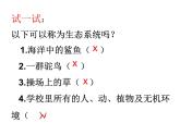 北师大版八下生物 23.2生态系统概述 课件