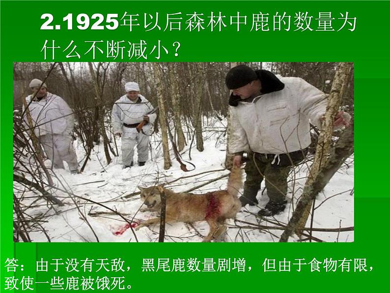 北师大版八下生物 23.4生态系统的稳定性 课件第7页