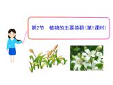 北师大版八下生物 22.3植物的主要类群 课件