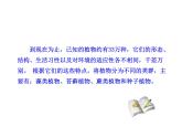 北师大版八下生物 22.3植物的主要类群 课件