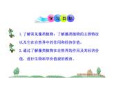 北师大版八下生物 22.3植物的主要类群 课件