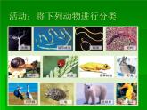 北师大版八下生物 22.4动物的主要类群 课件