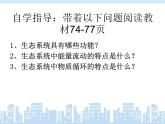 北师大版八下生物 23.3生态系统的结构和功能 课件