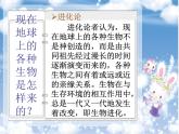 北师大版八下生物 21.2生物的进化 课件