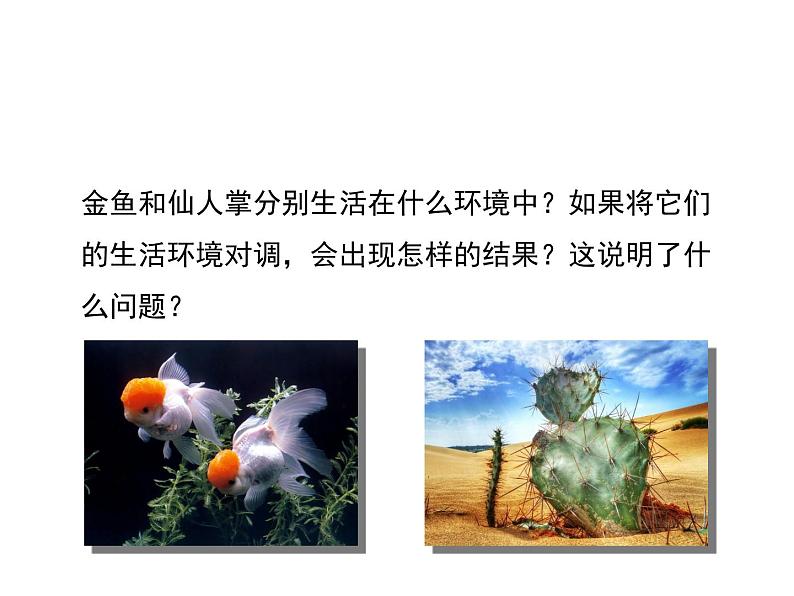 北师大版八下生物 23.1生物的生存依赖一定的环境 课件03