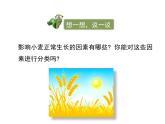 北师大版八下生物 23.1生物的生存依赖一定的环境 课件