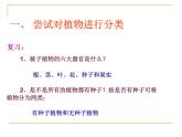 北师大版八下生物 22.1生物的分类 课件