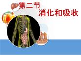 济南版七下生物 1.2消化和吸收 课件