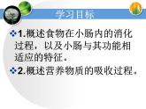 济南版七下生物 1.2消化和吸收 课件