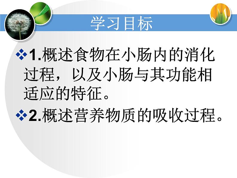 济南版七下生物 1.2消化和吸收 课件第4页