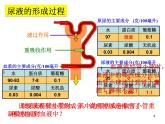 济南版七下生物 4.1尿液的形成和排出 课件